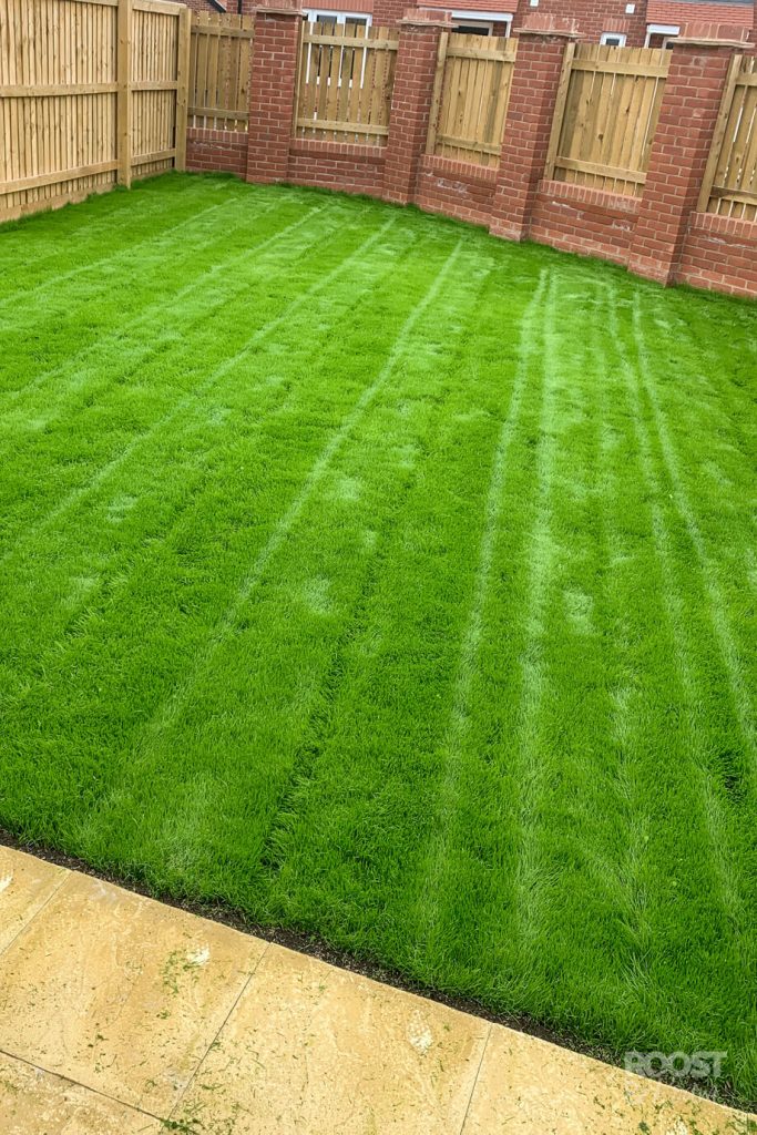 finished lawn