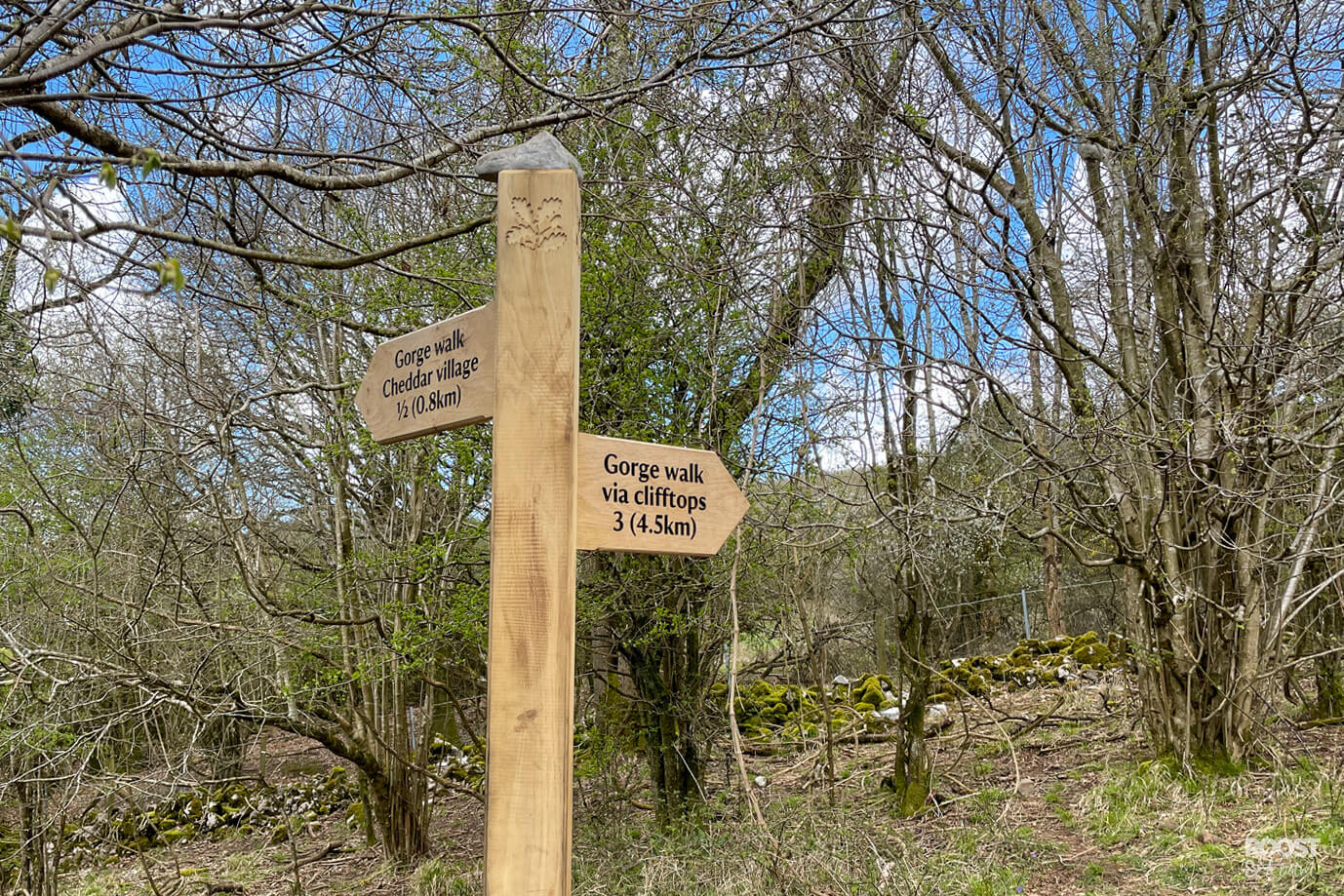 Free Cheddar Walk A Clifftop Guide 2023 Roost & Roam