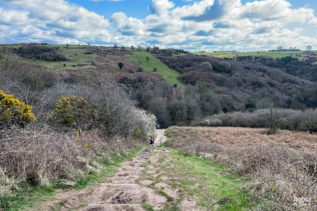 Cheddar Gorge Clifftop Walk