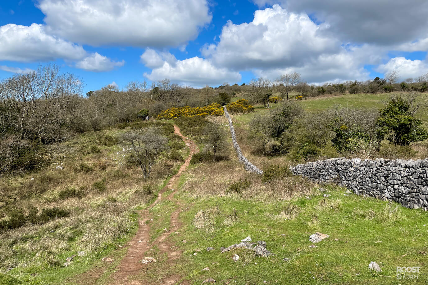 Free Cheddar Walk A Clifftop Guide 2023 Roost & Roam