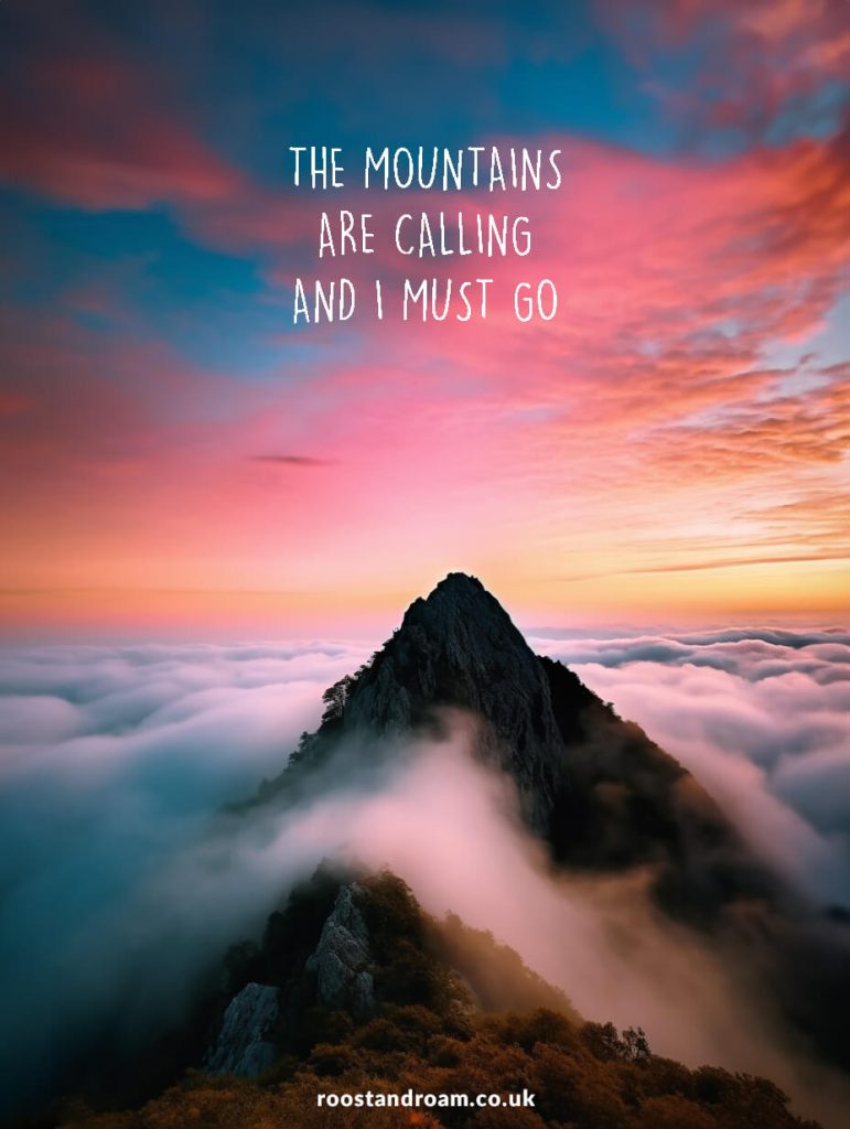 The mountains are calling and I must go quote
