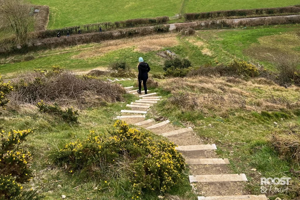 Steps along the Corfe Castle Walk