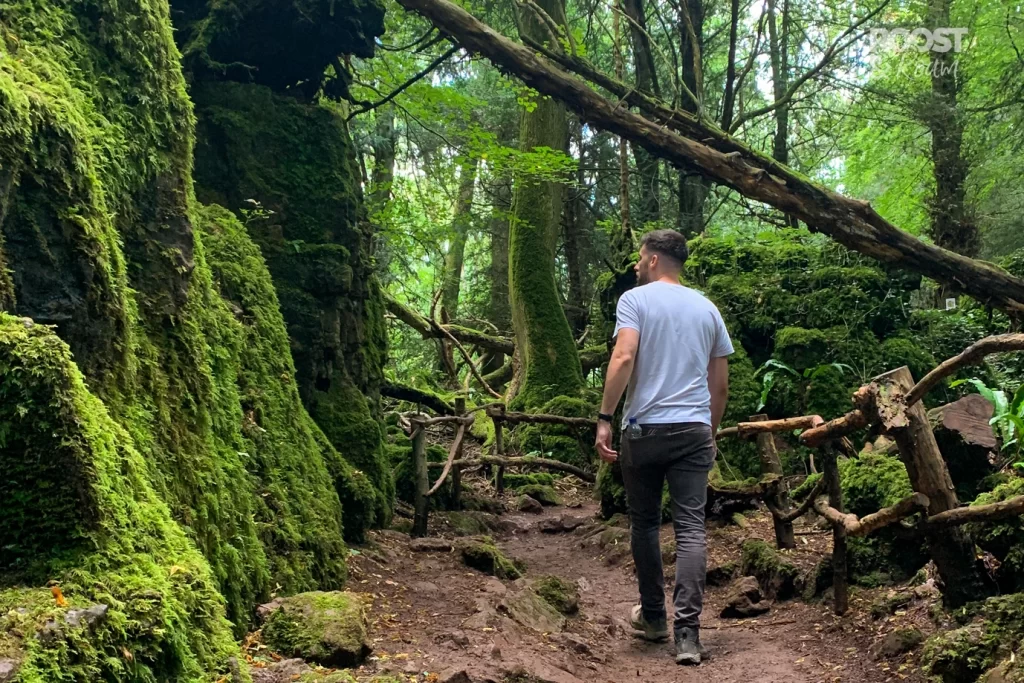 Exploring the Puzzlewood woodland trail