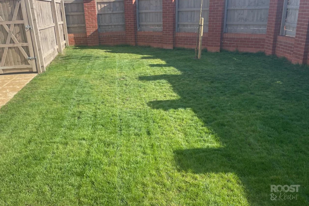 Re-growing our winter lawn in the UK