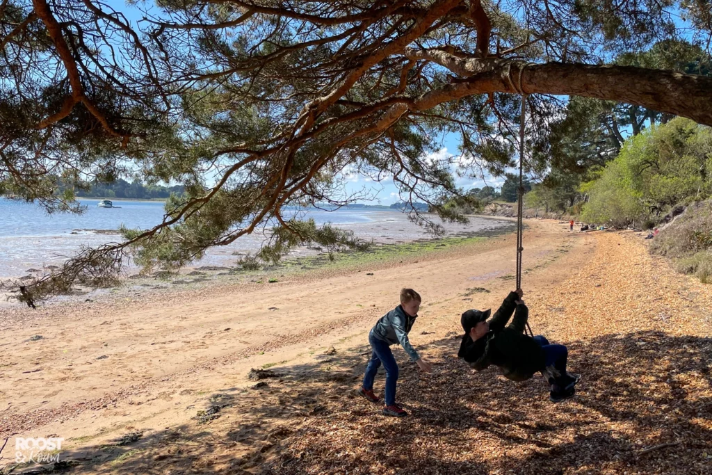 Brownsea Island beach