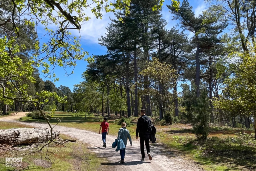 Forest trail walks with kids in Dorset