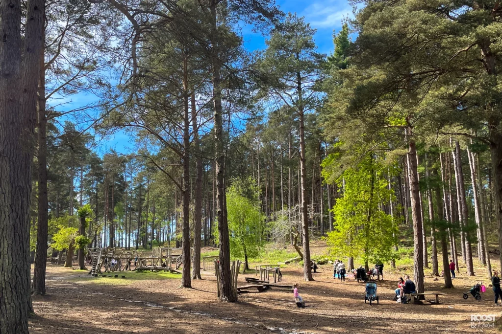 Play park Brownsea Island for kids