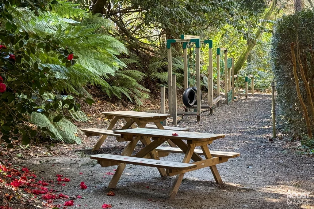 Things for kids to do at Trebah Gardens
