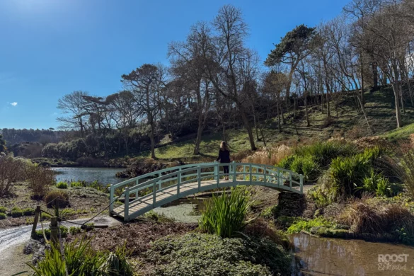 Trebah Gardens Review in Cornwall
