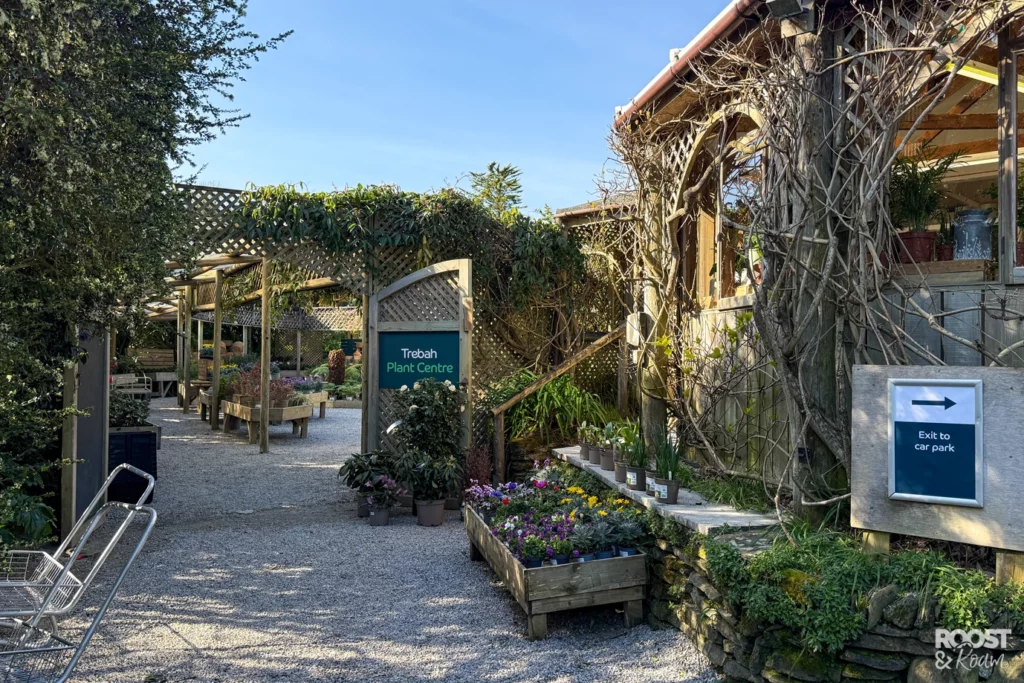 Trebah plant centre