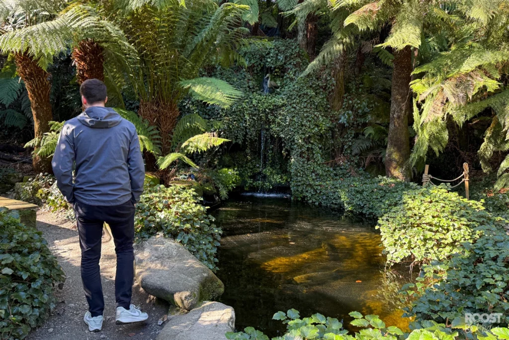Visiting Trebah Gardens Cornwall