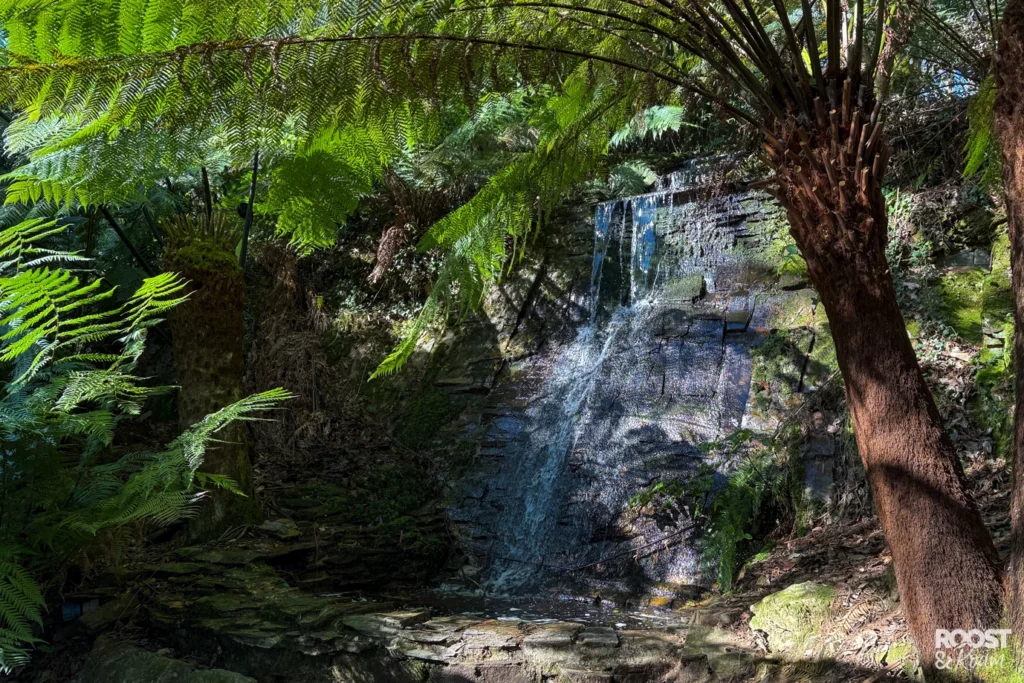 Waterfall Trebah Cornwall