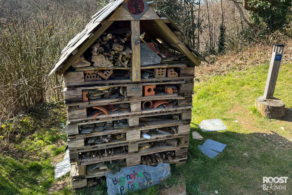 Bugingham Palace - Wild Trail