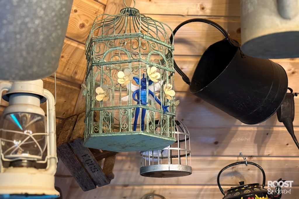 Cornish Pixie From Harry Potter