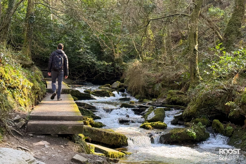 St Nectan's Glen boardwalk