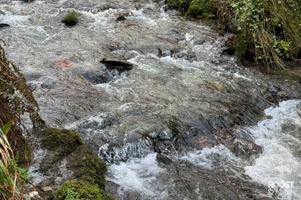 St Nectan's Glen review