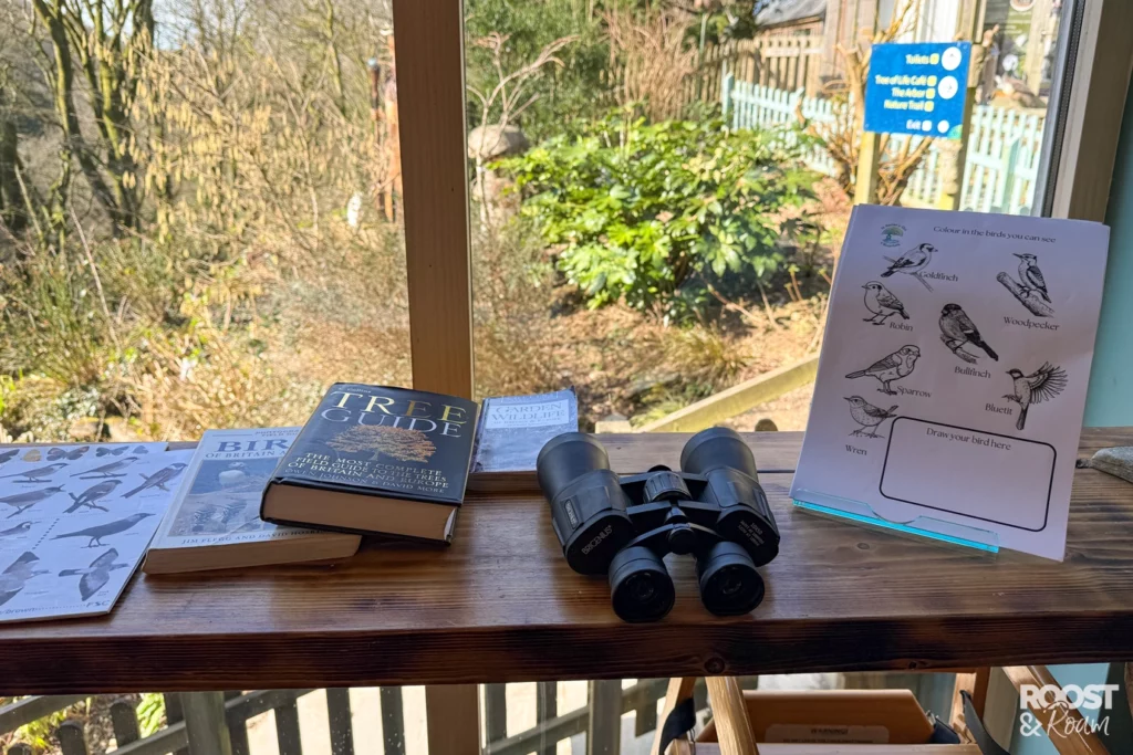 Tree of Life Cafe - bird watching