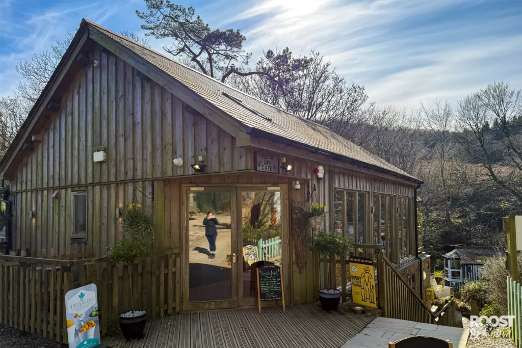 Tree of Life Cafe St Nectans Glen Waterfall