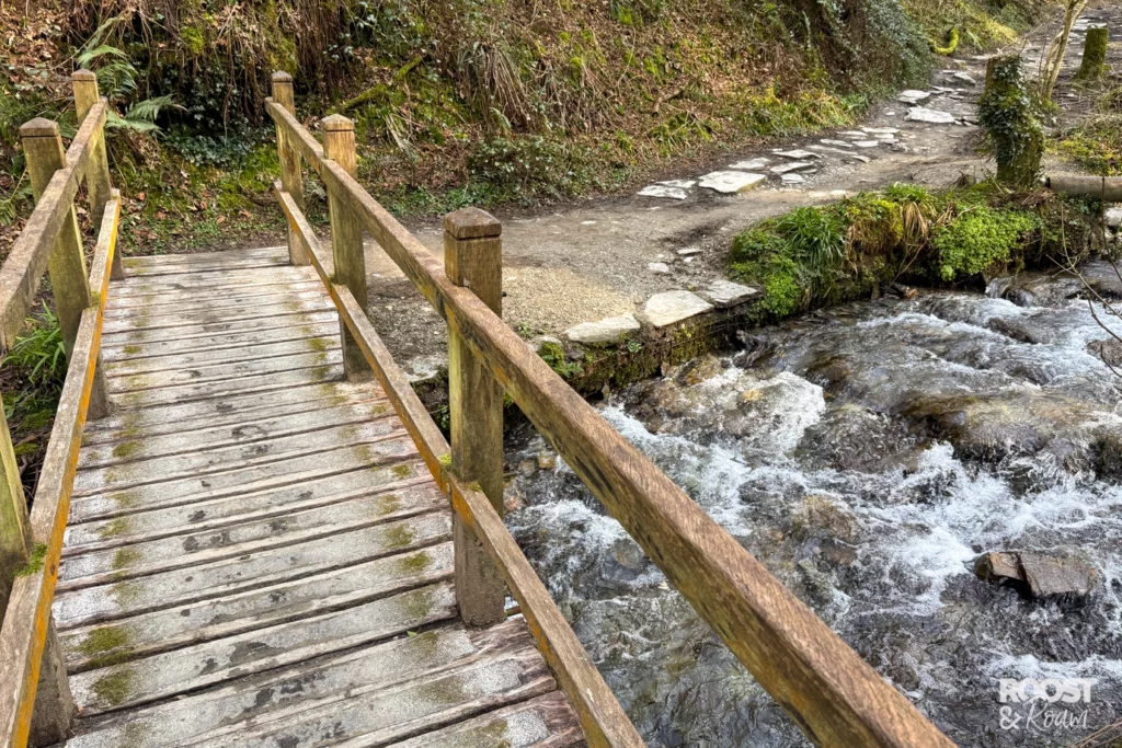 Woodland river walk at St Nectan's Glen