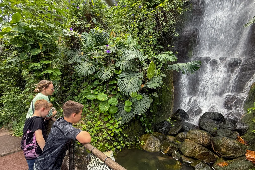 Eden Project Rainforest waterfall