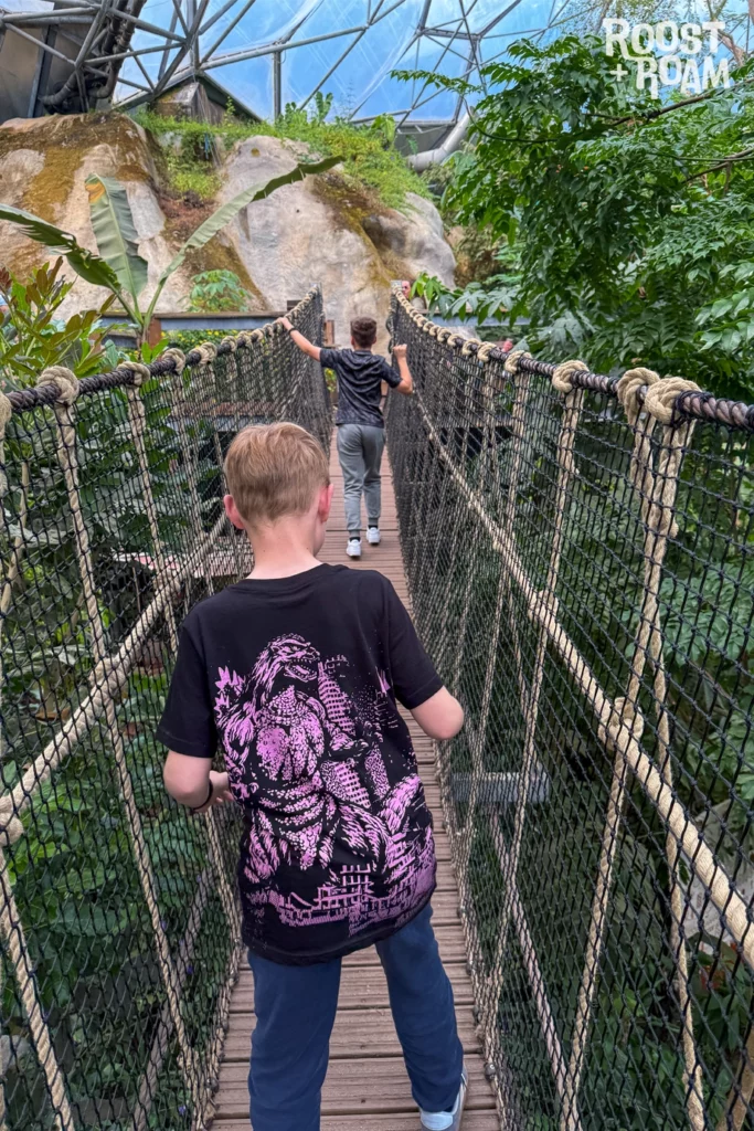 Rope Bridge