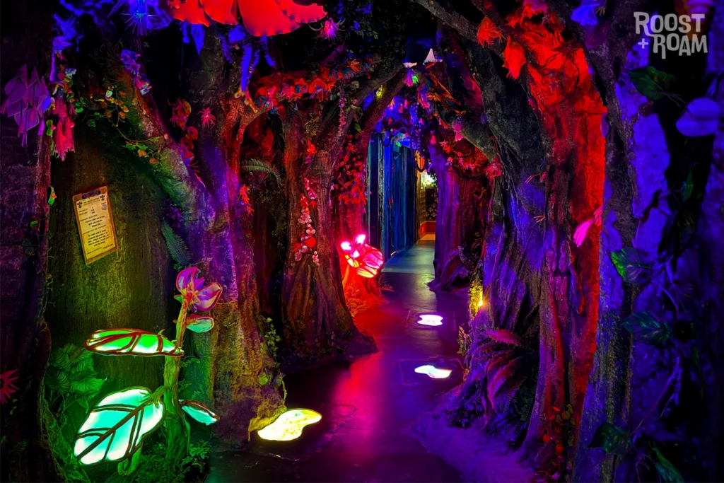 Enchanted forest Wake The Tiger