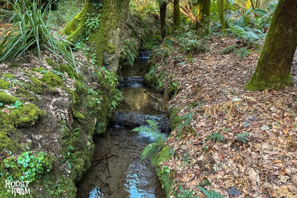 Glendurgan Gardens Falmouth