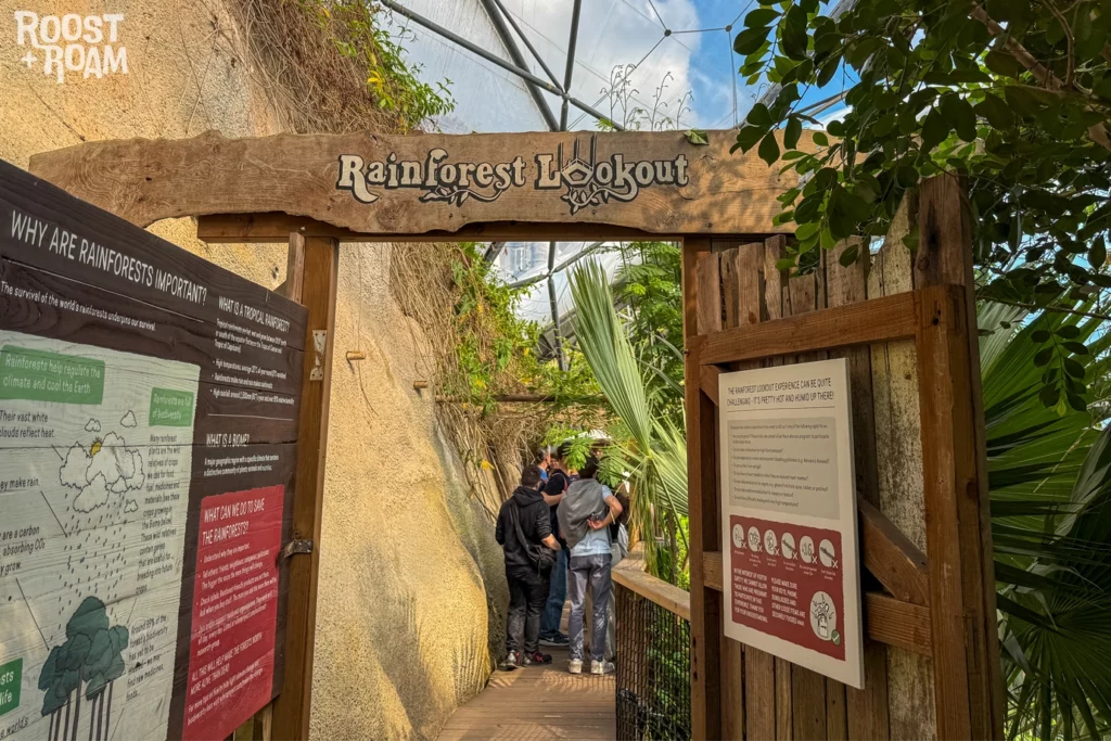rainforest lookout Eden Project