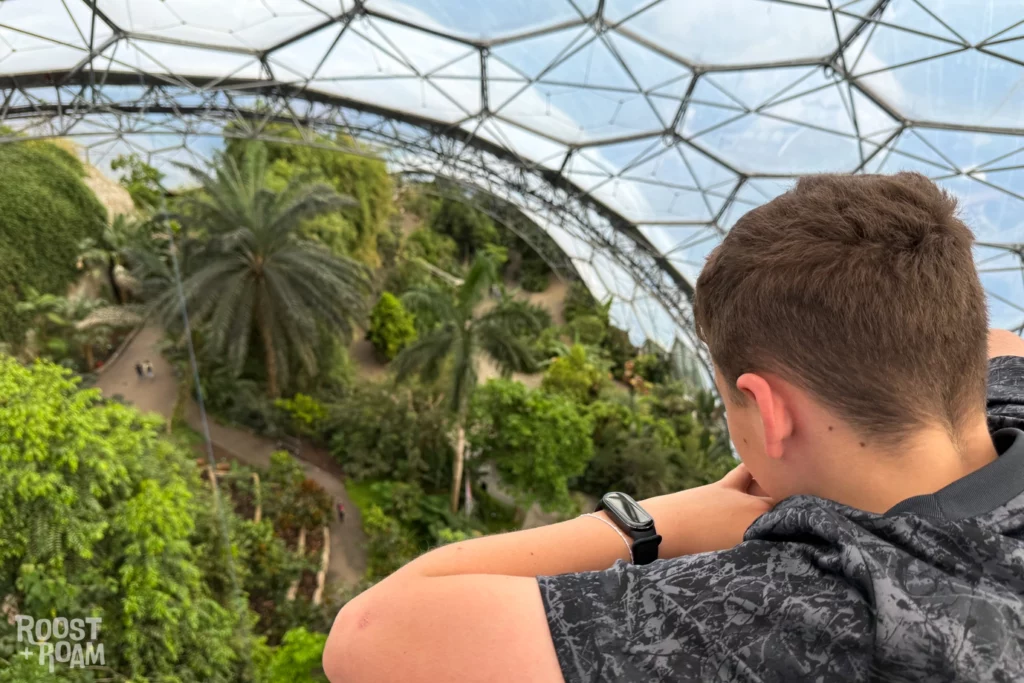View from the rainforest lookout Eden Project