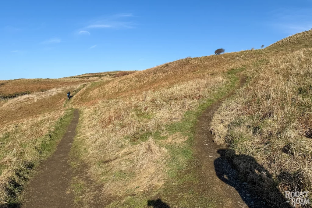Path fork at Rocky Valley