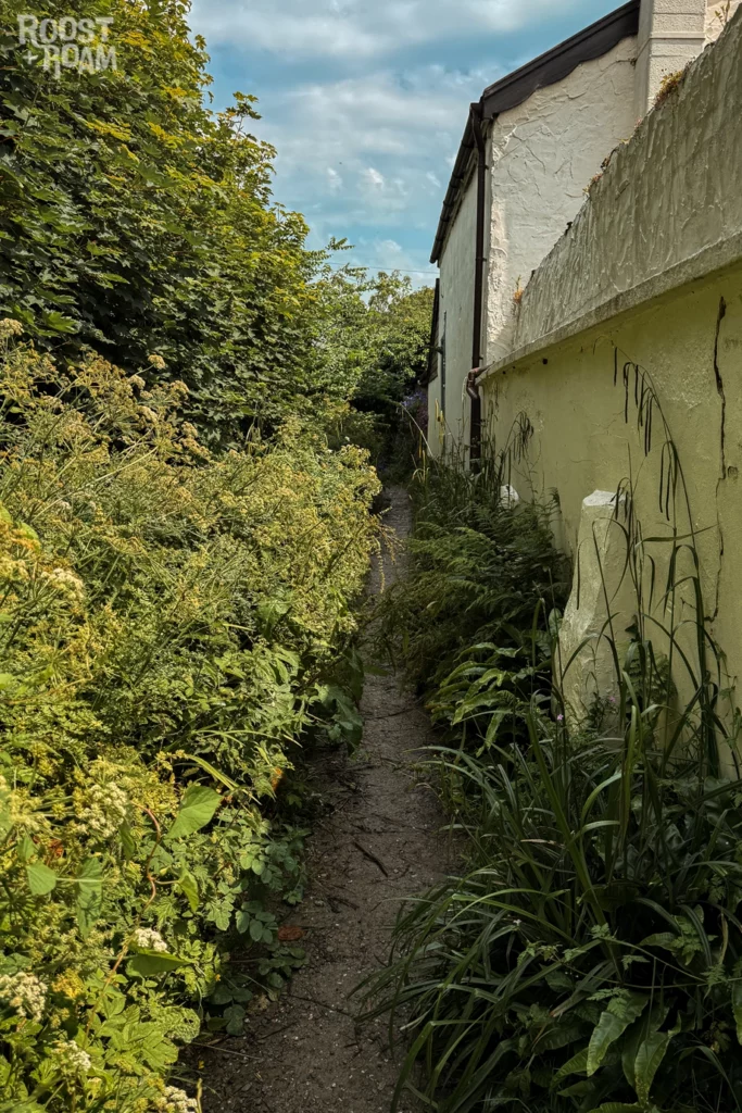 Lee Village walk