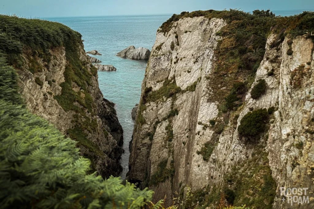 Sandy Cove walk Devon