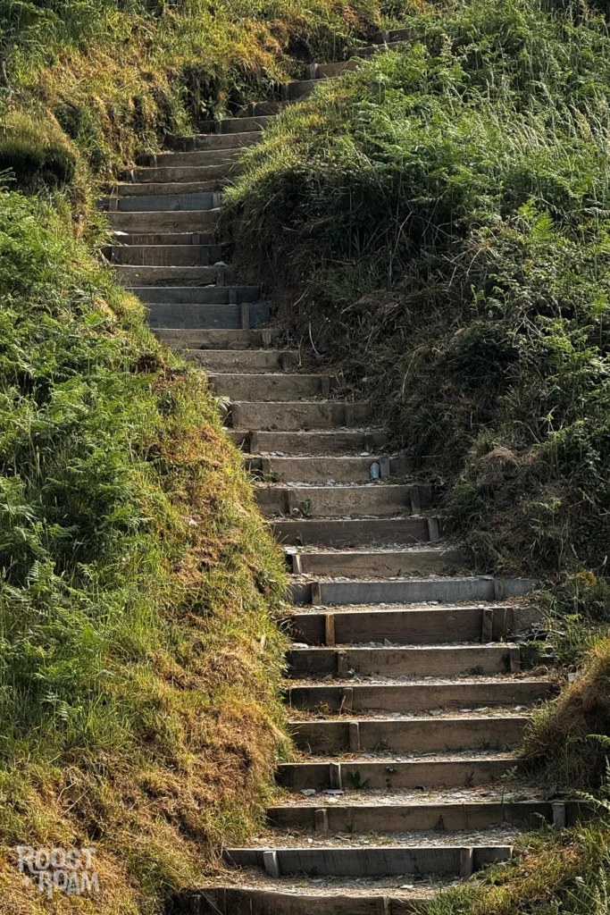 South West Coast Path steps