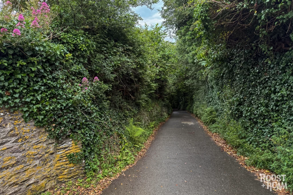 Walk towards Lee Village