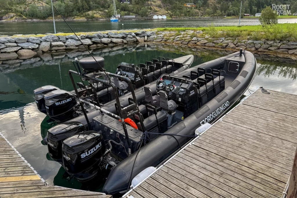 Fjord guiding Hellesylt RIB boat