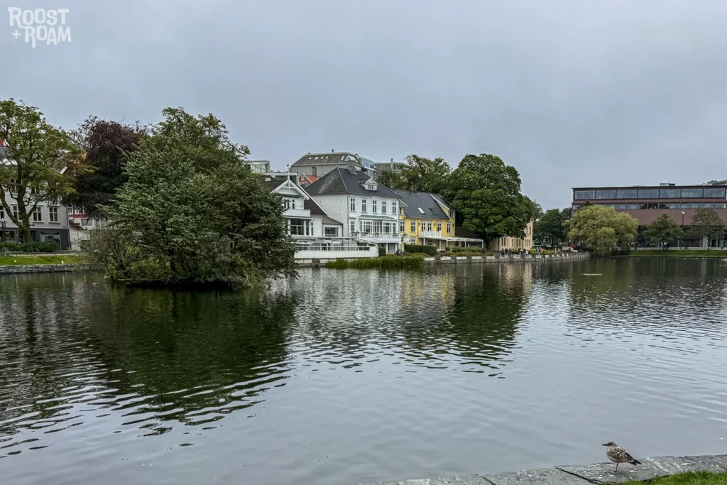 Breiavatnet