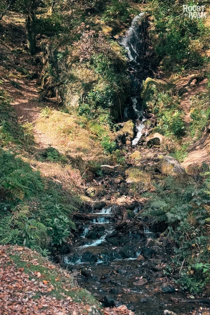 Burrator reservoir waterfall