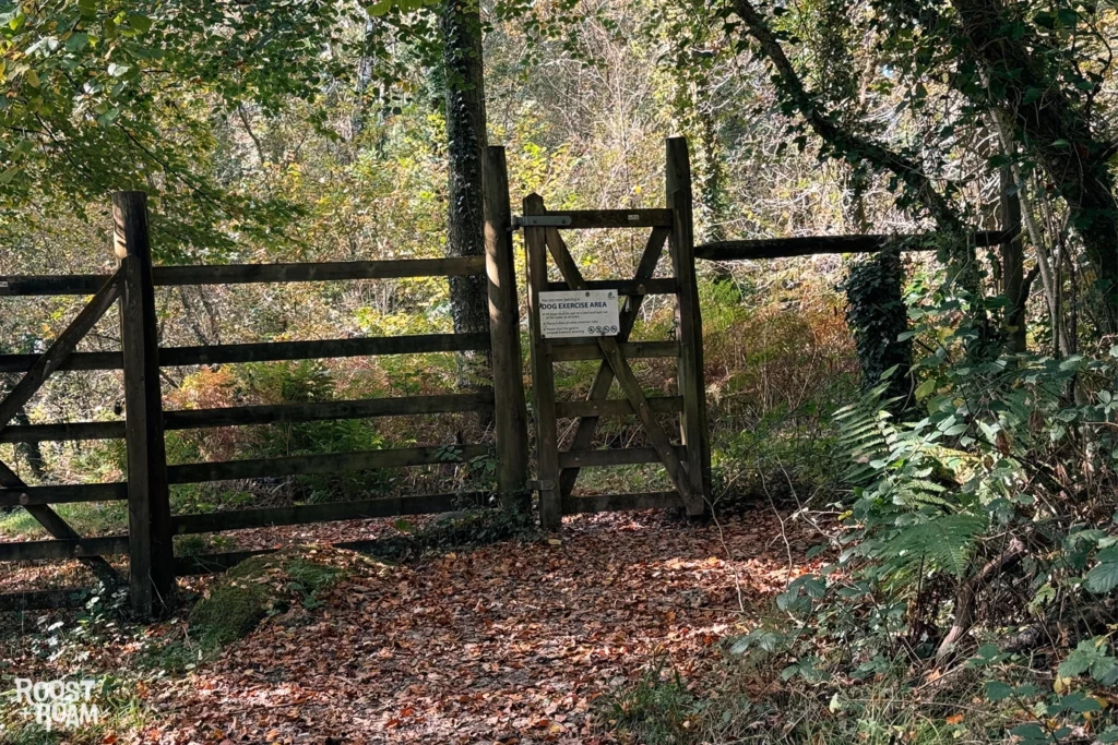 Dog exercise area Burrator