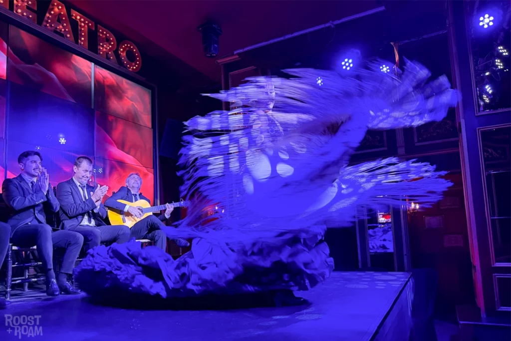 Malaga Flamenco Show