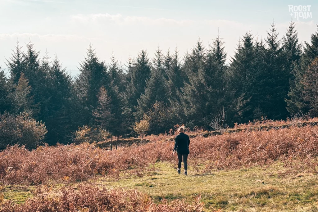 Reaching Leather Tor Dartmoor