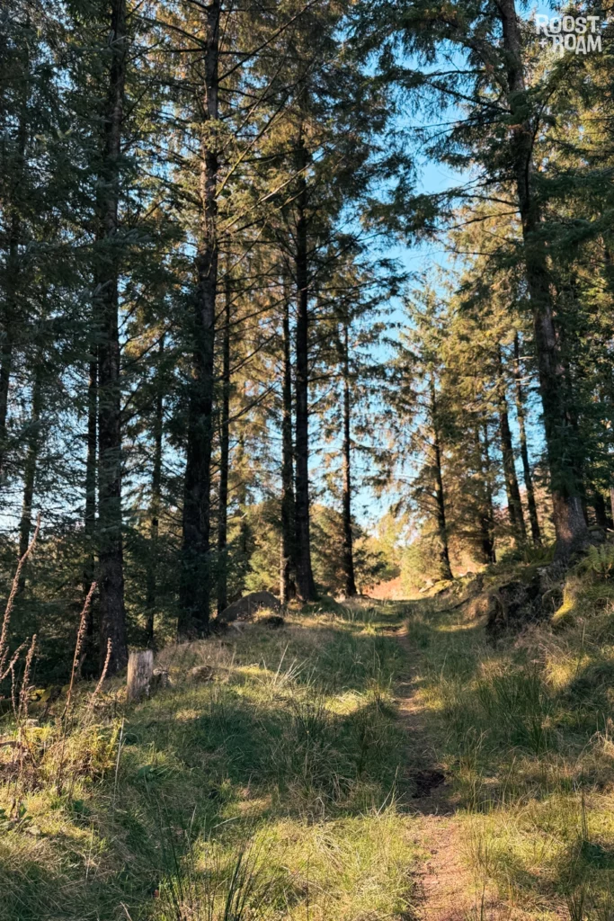 Walk up Leather Tor Dartmoor