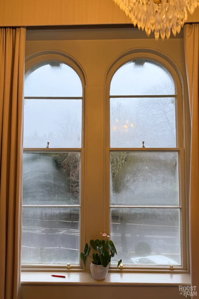 Arched windows The Bird Hotel