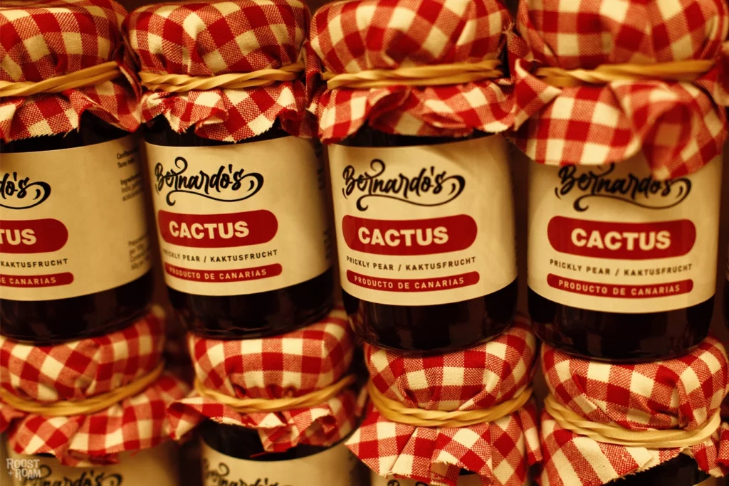 cactus jam Lanzarote