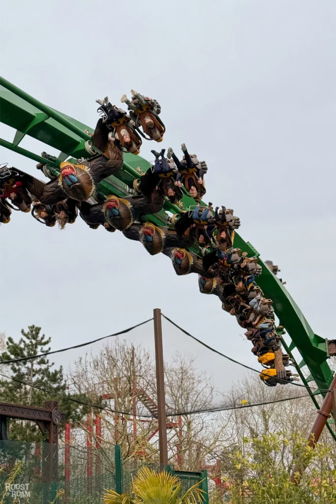 Inversion on Mandrill Mayhem Chessington World of Adventures