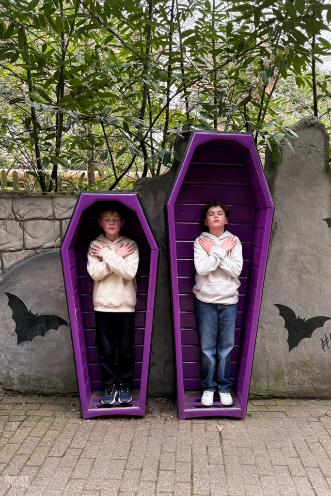 Vampire Chessington World of Adventures