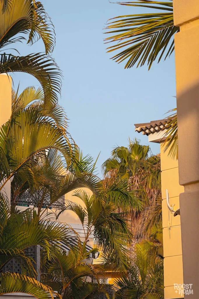 Family Friendly hotel in Tenerife