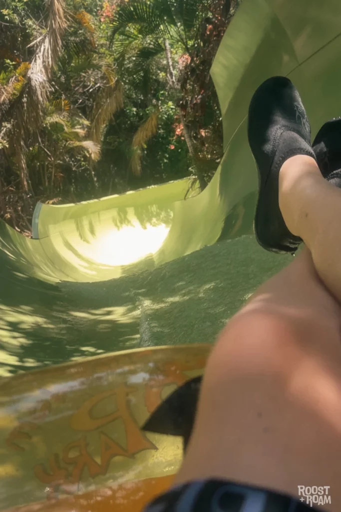 Jungle snake slide
