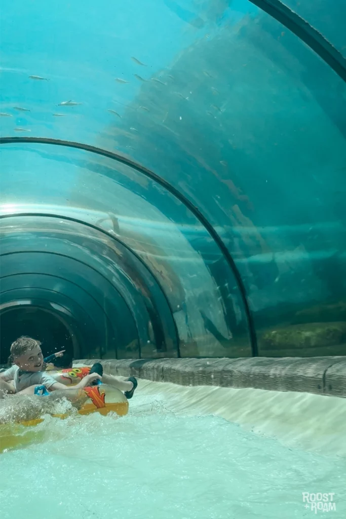 Lazy river rapids tunnel at Siam Park