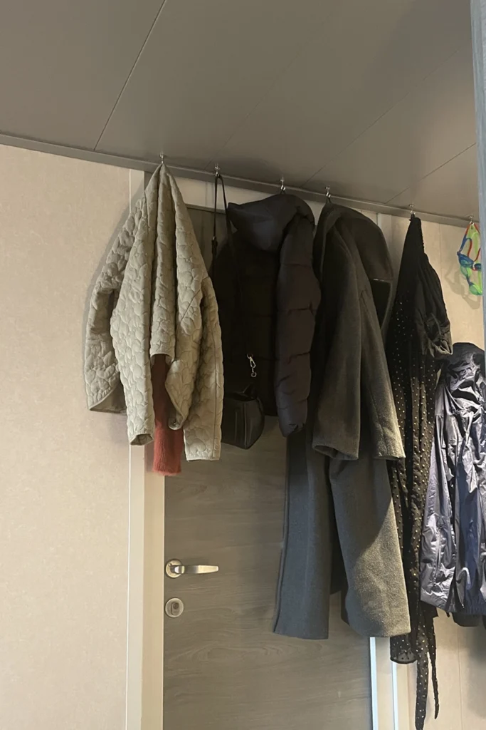 Magnetic cruise hooks
