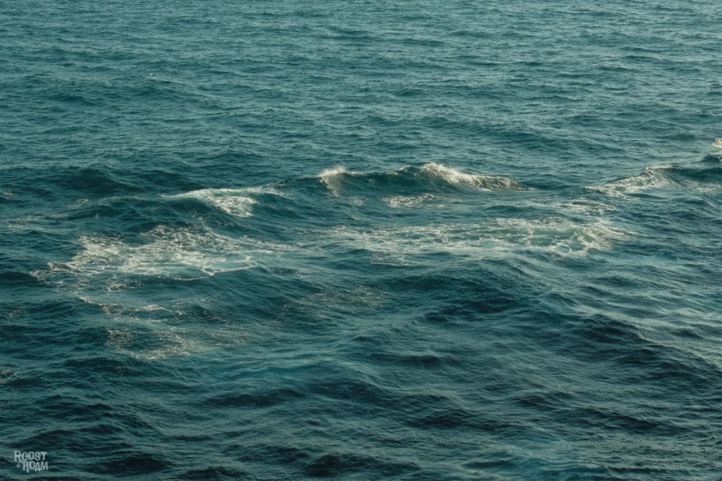 sailing on Enchanted Princess